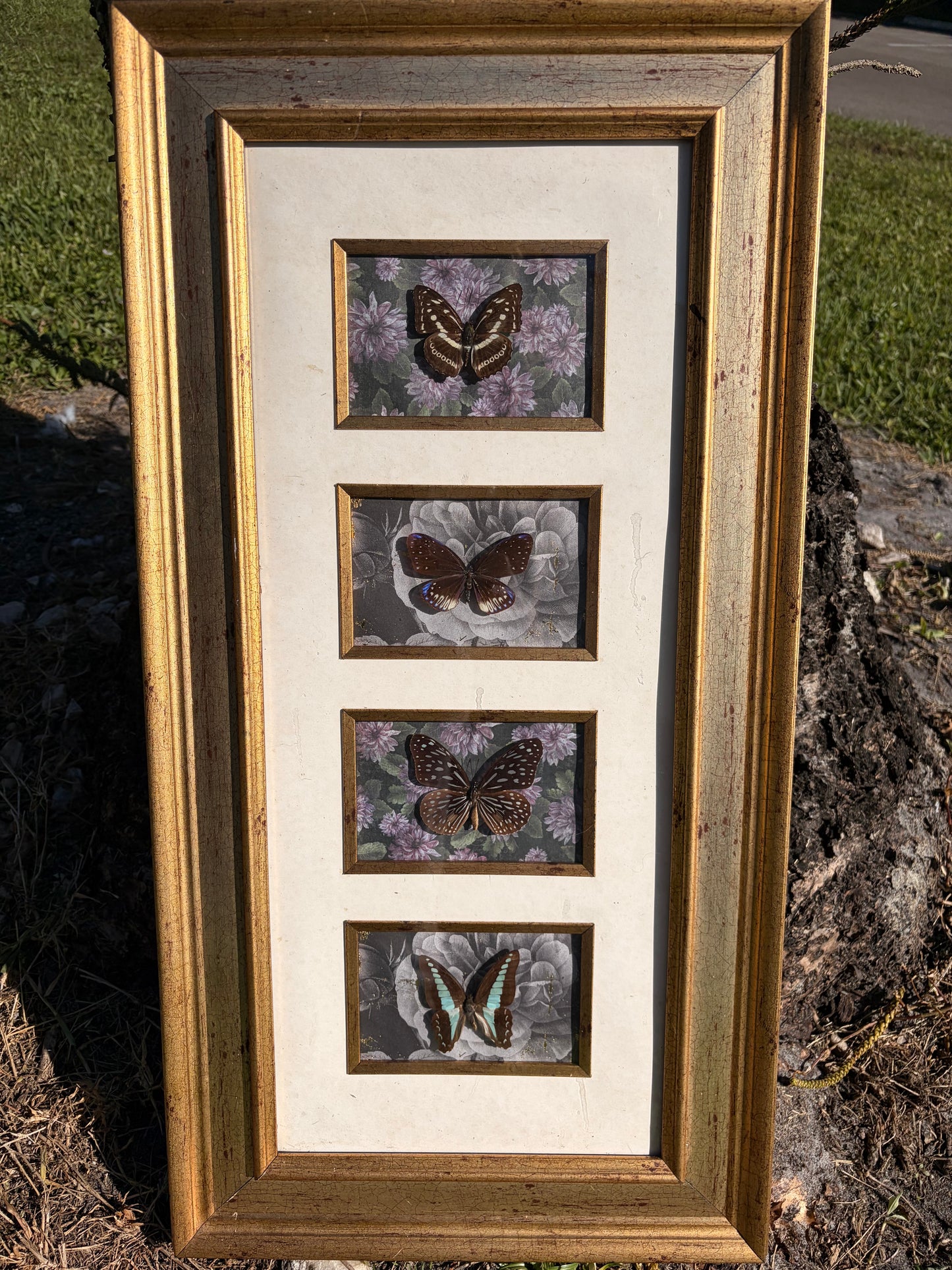 The Garden Fae Quartet Shadowbox