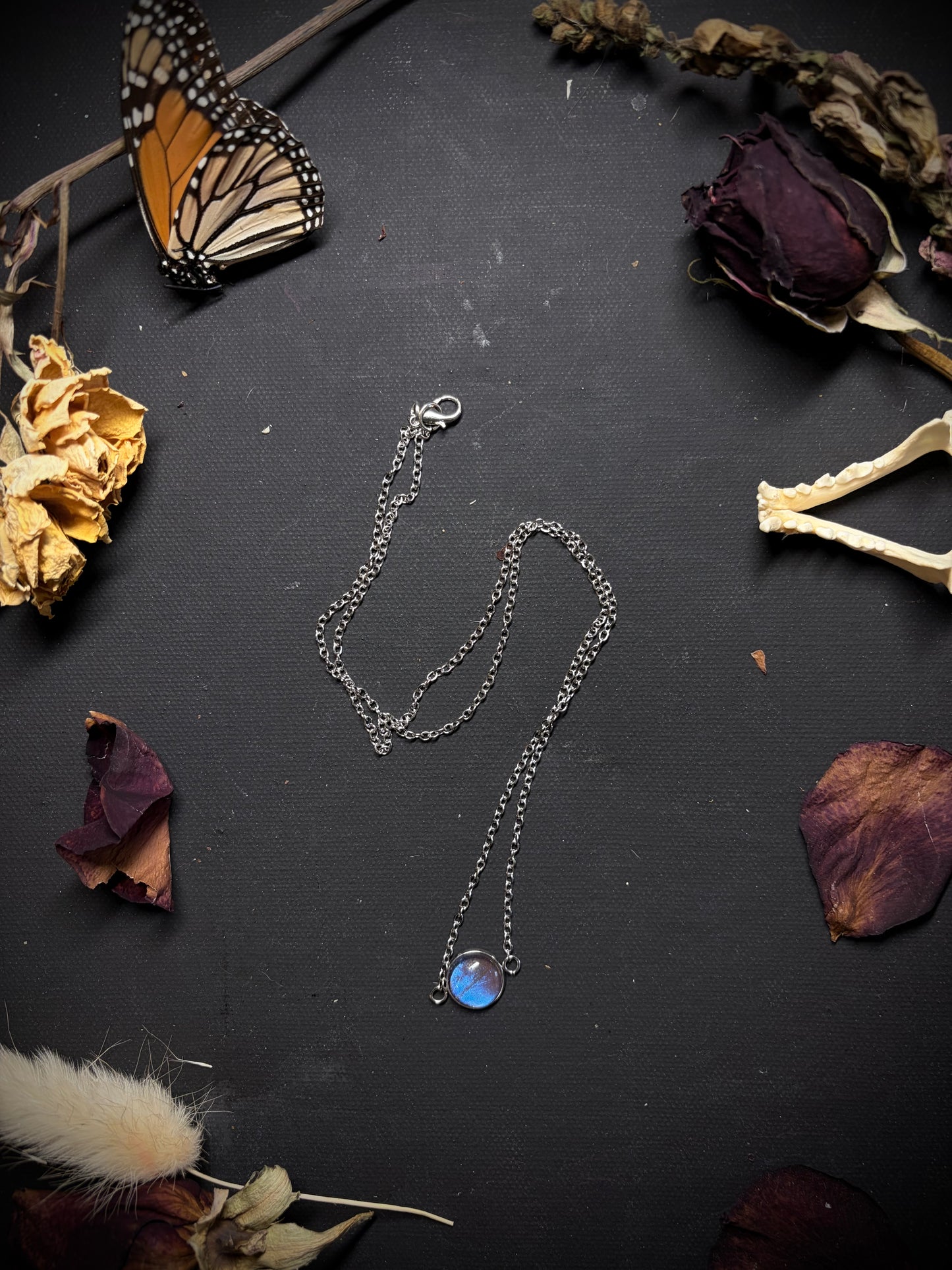 Real Butterfly Wing necklace ethereal