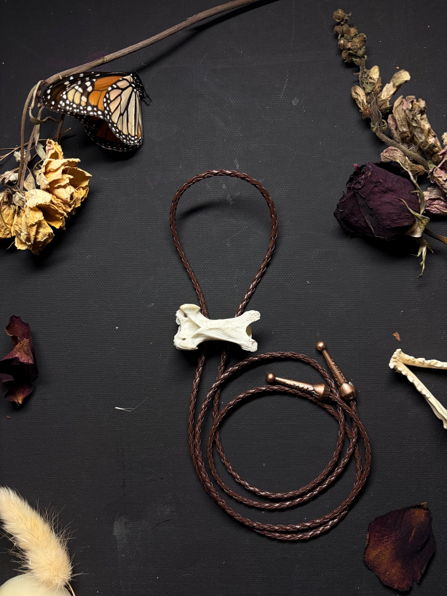 Real Duck Vertebrae bolo tie necklace ethereal