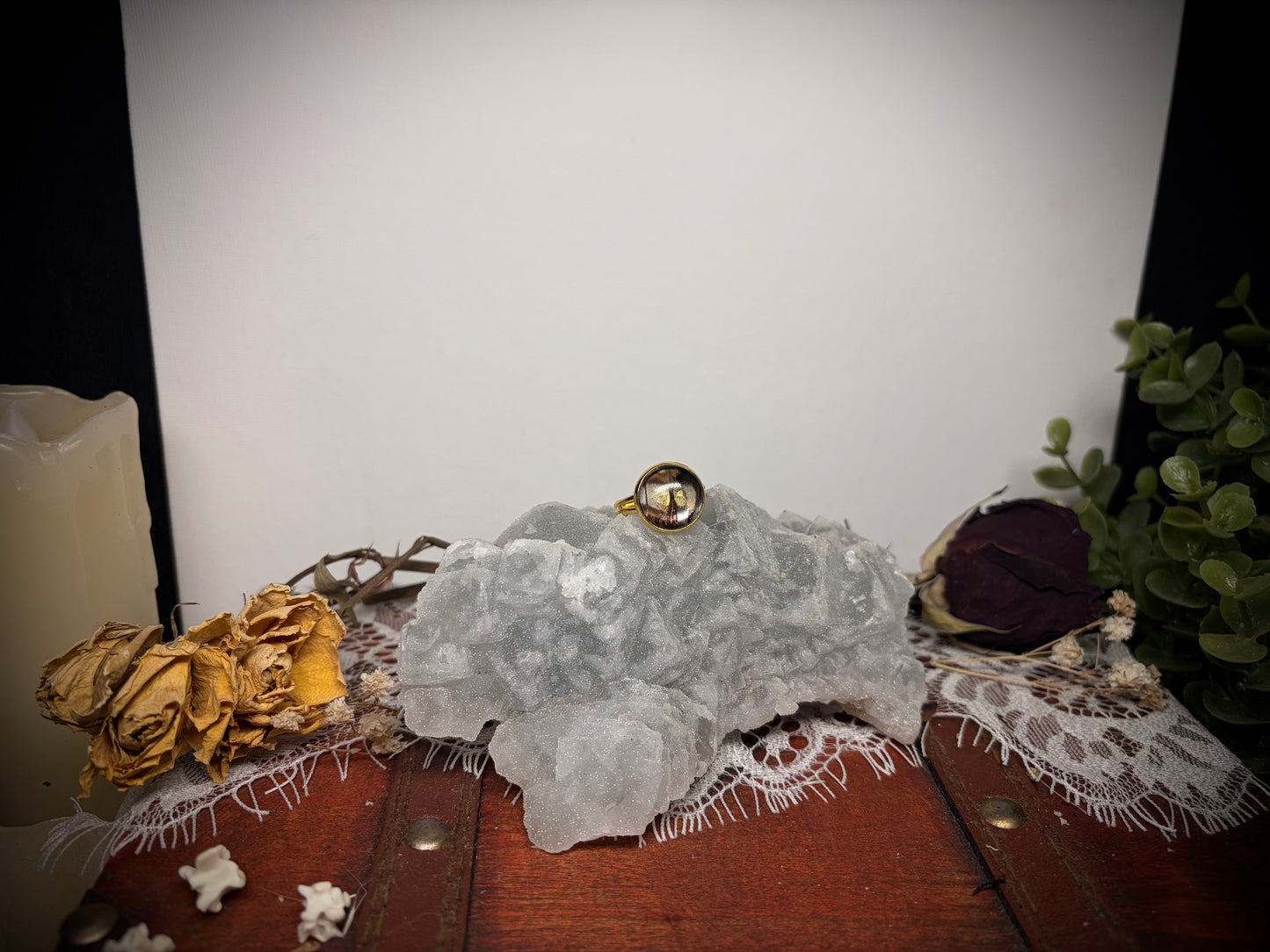 Real Butterfly Wing ring ethereal EMR