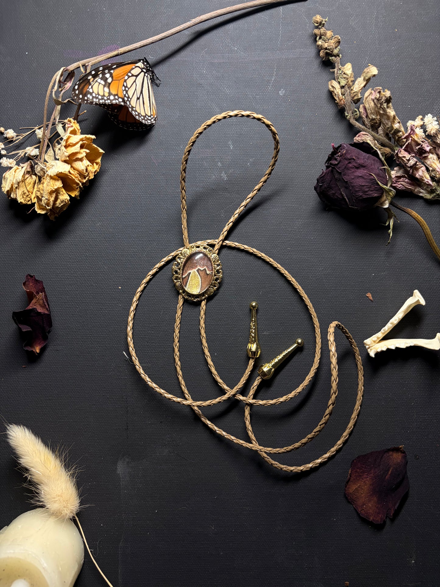 Real Moth Wing bolo tie necklace ethereal