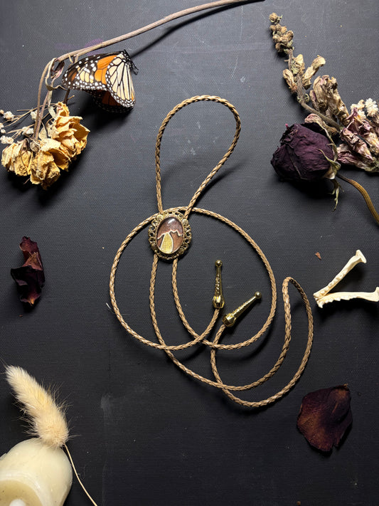 Real Moth Wing bolo tie necklace ethereal