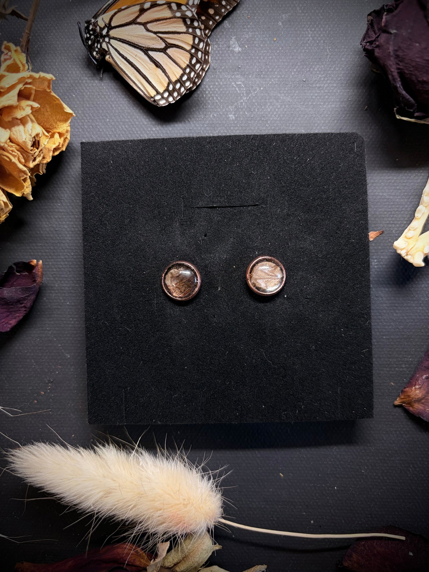 Real Moth Wing stud earrings ethereal