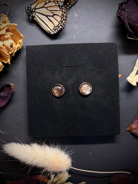 Real Moth Wing stud earrings ethereal