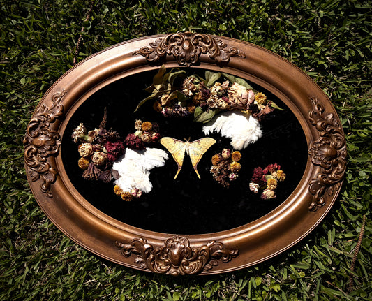 The Golden Moon Moth Wallhanger