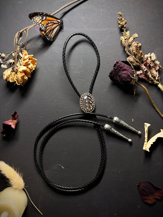 Real Butterfly Wing bolo tie necklace ethereal