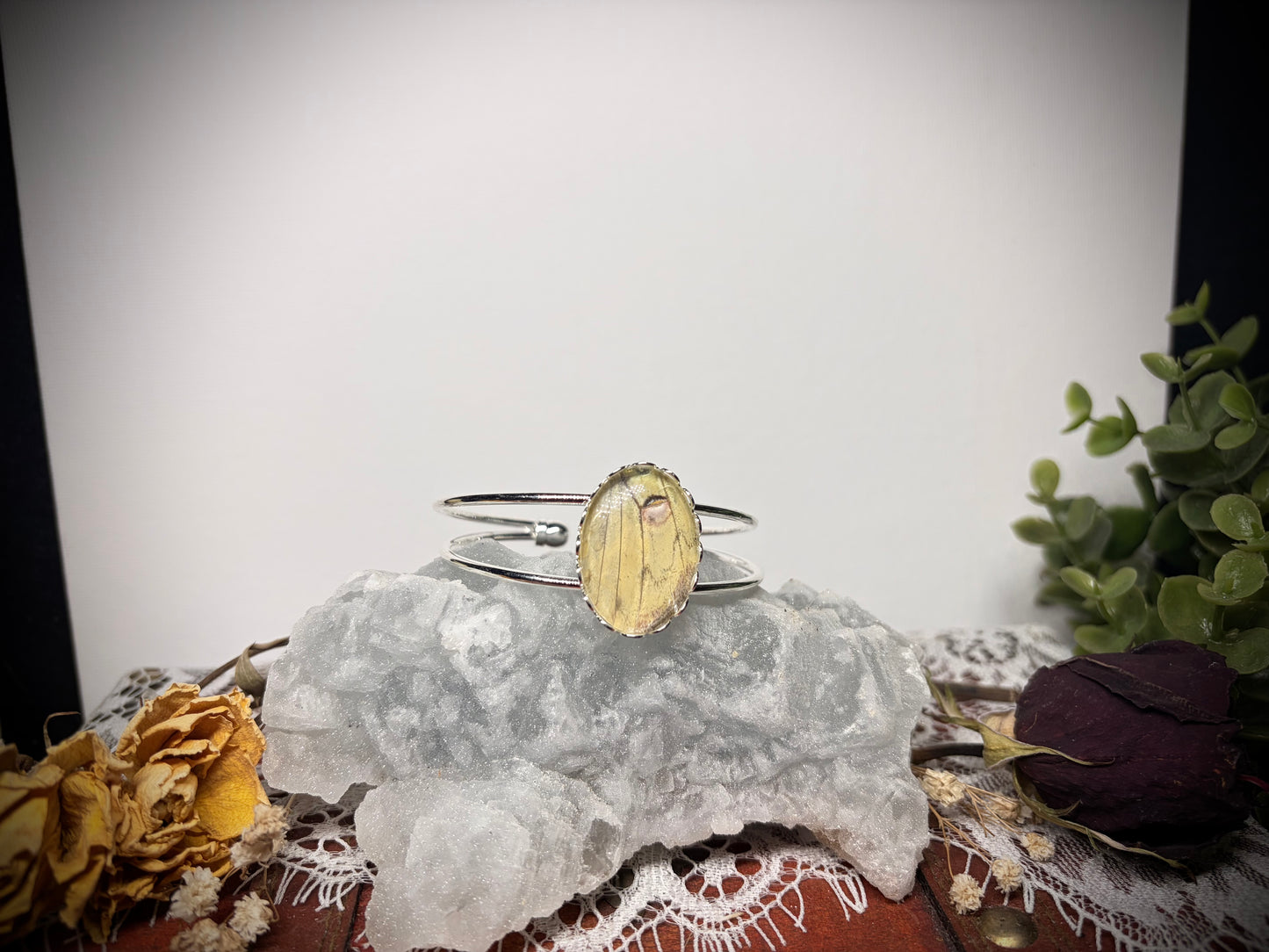 Real Moth Wing cuff ethereal