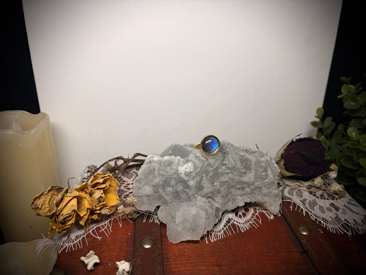 Real Butterfly Wing ring ethereal EMR