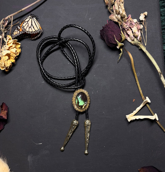 Real Butterfly Wing bolo tie necklace ethereal