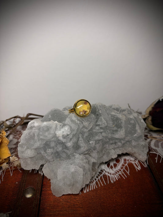 Real Butterfly Wing ring ethereal EMR