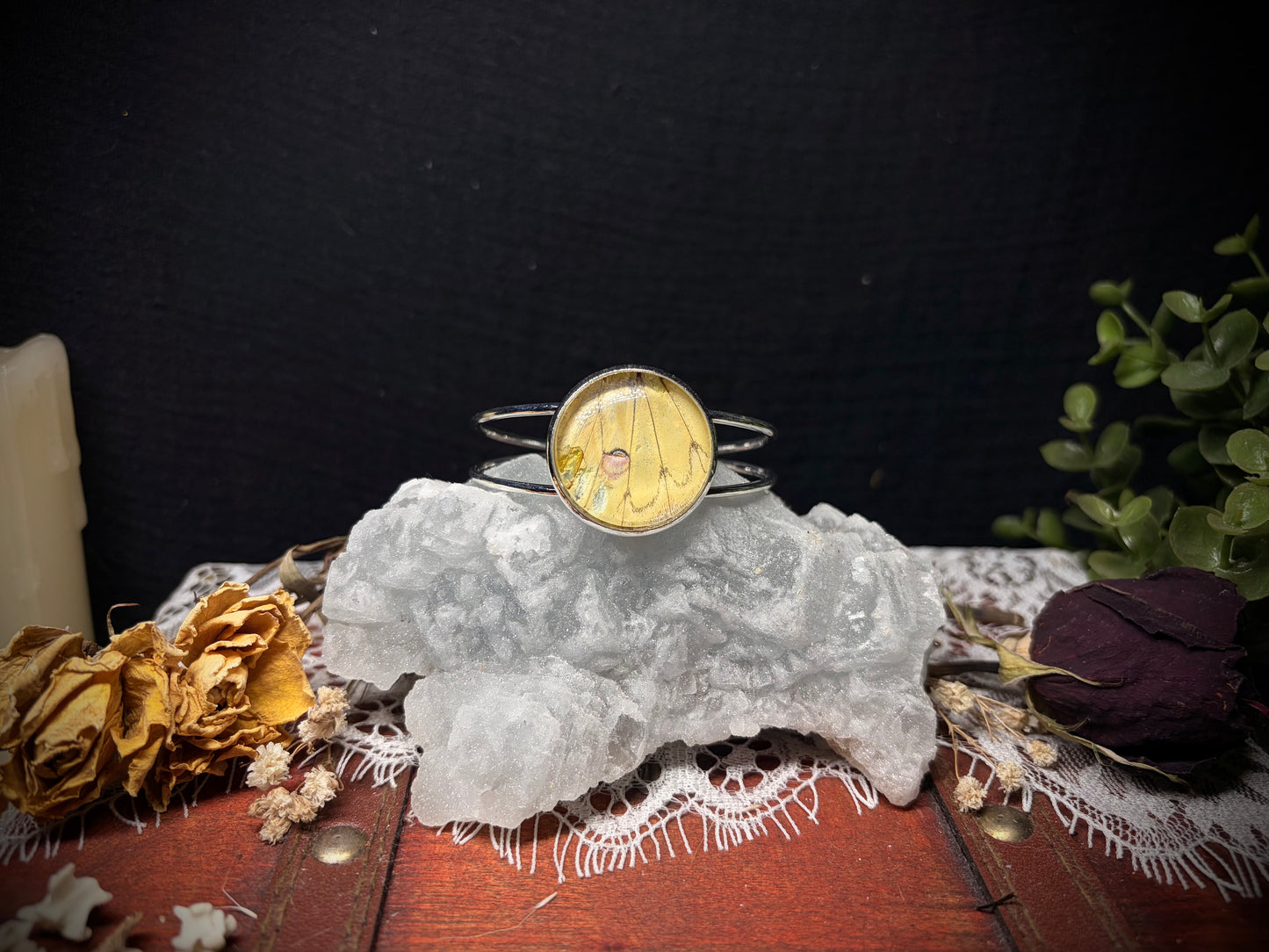 Real Moth Wing cuff ethereal