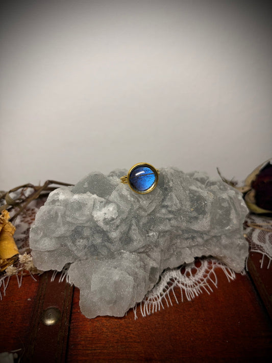 Real Butterfly Wing ring ethereal EMR