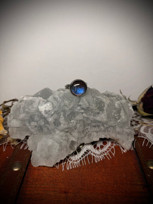 Real Butterfly Wing ring ethereal EMR