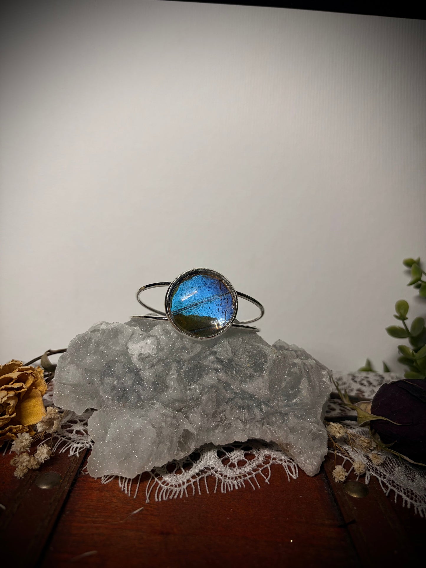 Real Butterfly Wing cuff ethereal