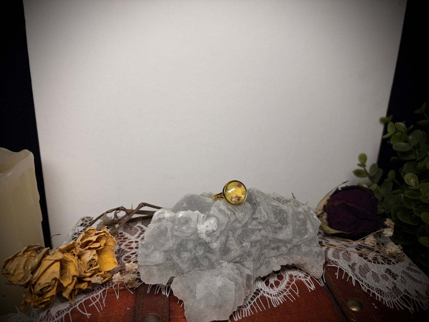 Real Butterfly Wing ring ethereal EMR