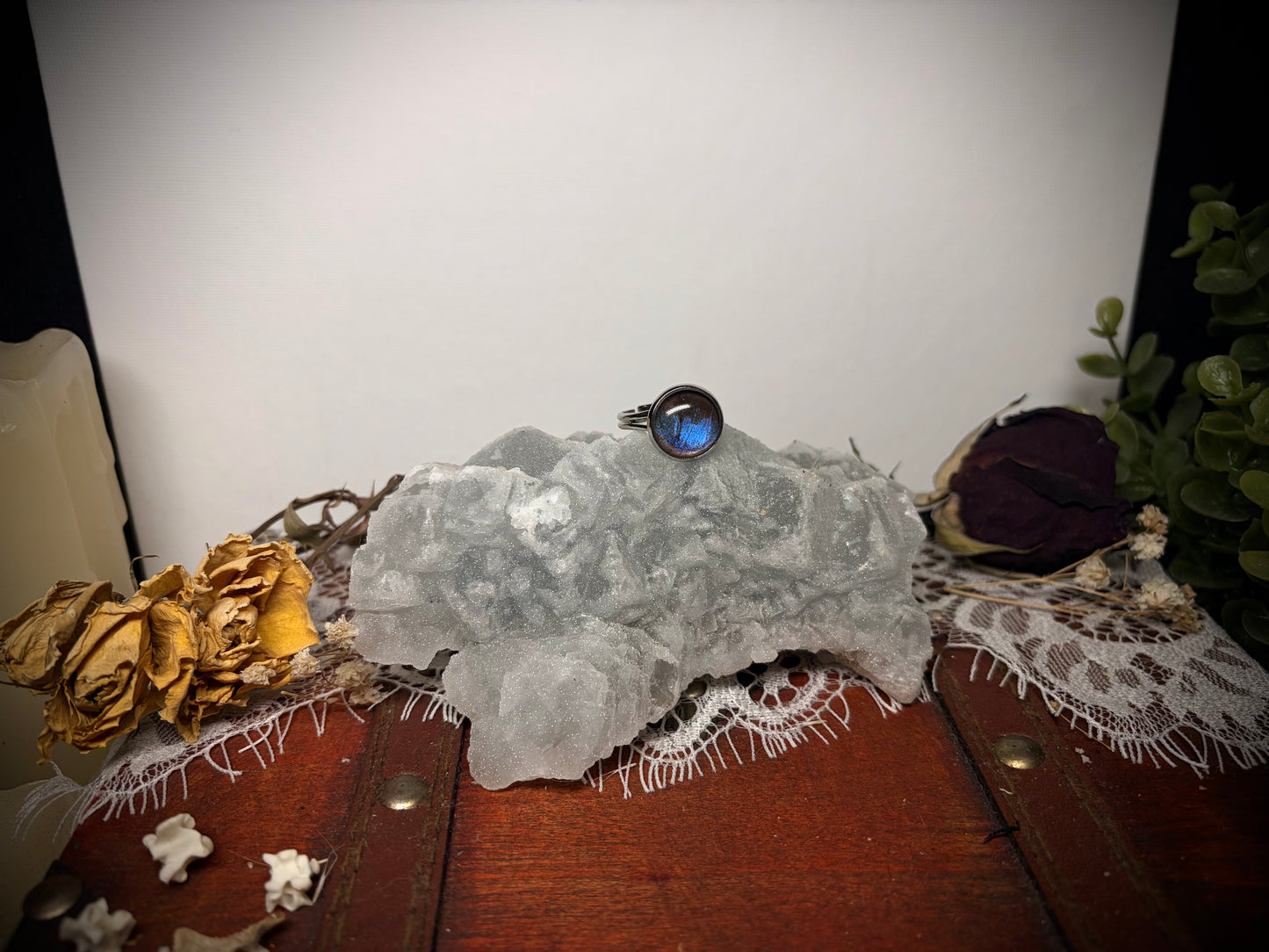 Real Butterfly Wing ring ethereal EMR