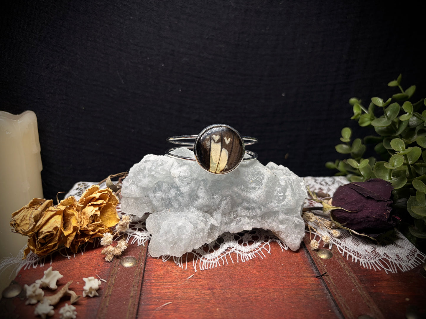 Real Butterfly Wing cuff ethereal