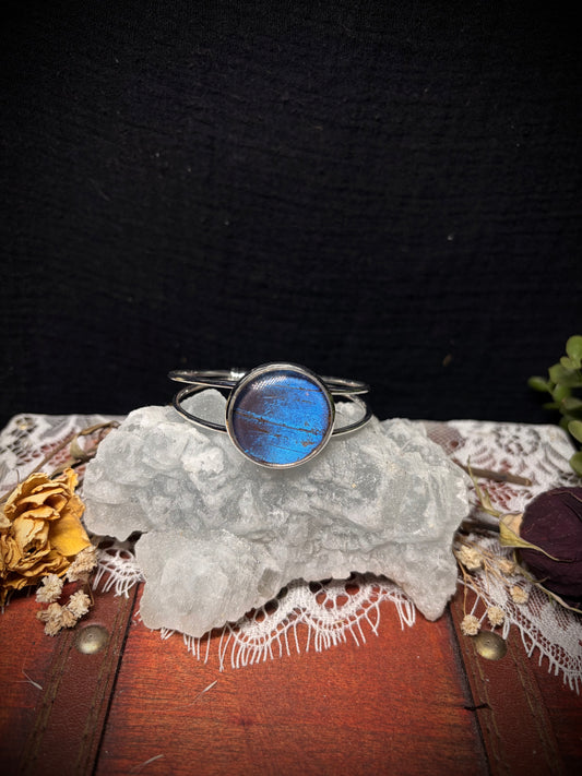 Real Butterfly Wing cuff ethereal