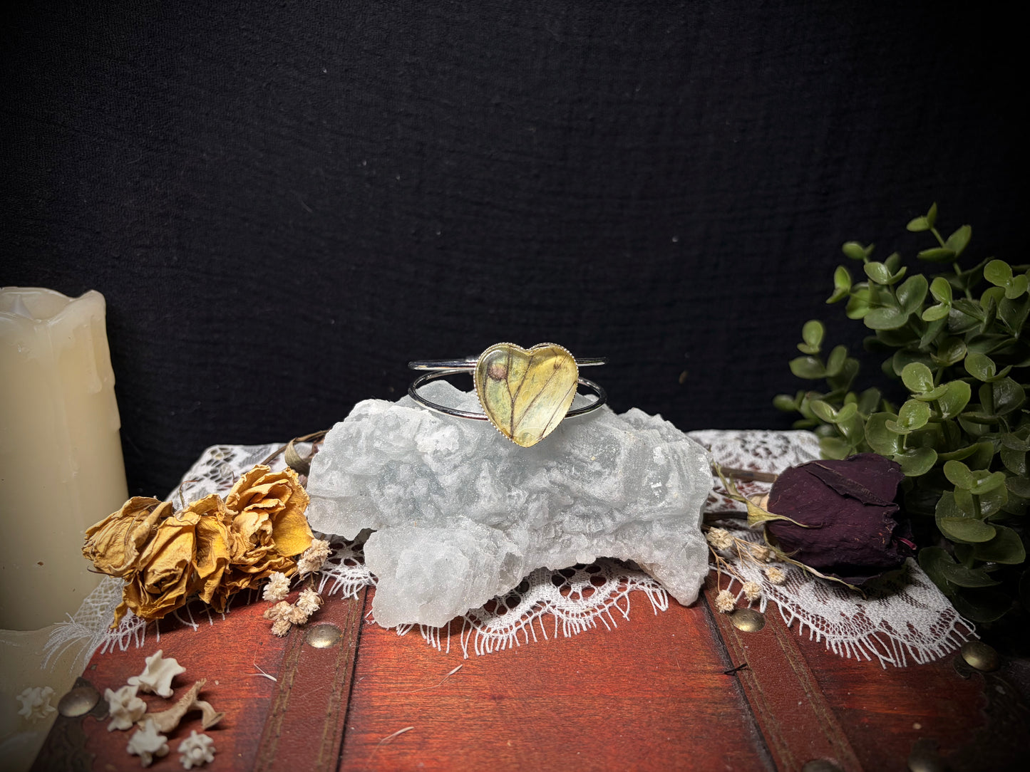 Real Moth Wing cuff ethereal