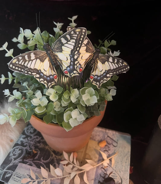 Old World Swallowtail Butterfly Hair Pin