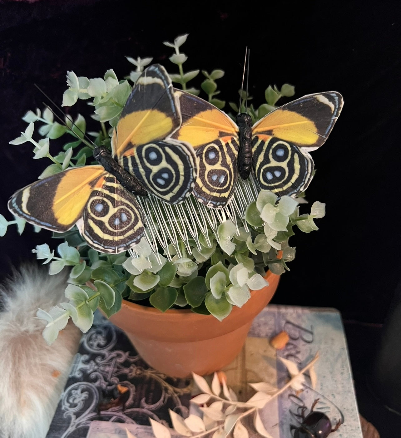 Eighty Eight Butterfly Hair Pin