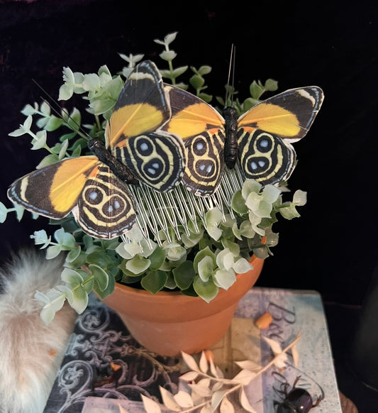 Eighty Eight Butterfly Hair Pin