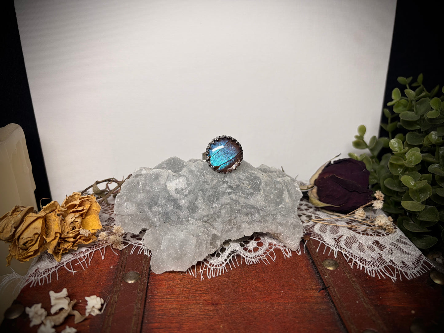 Real Butterfly Wing ring ethereal EMR