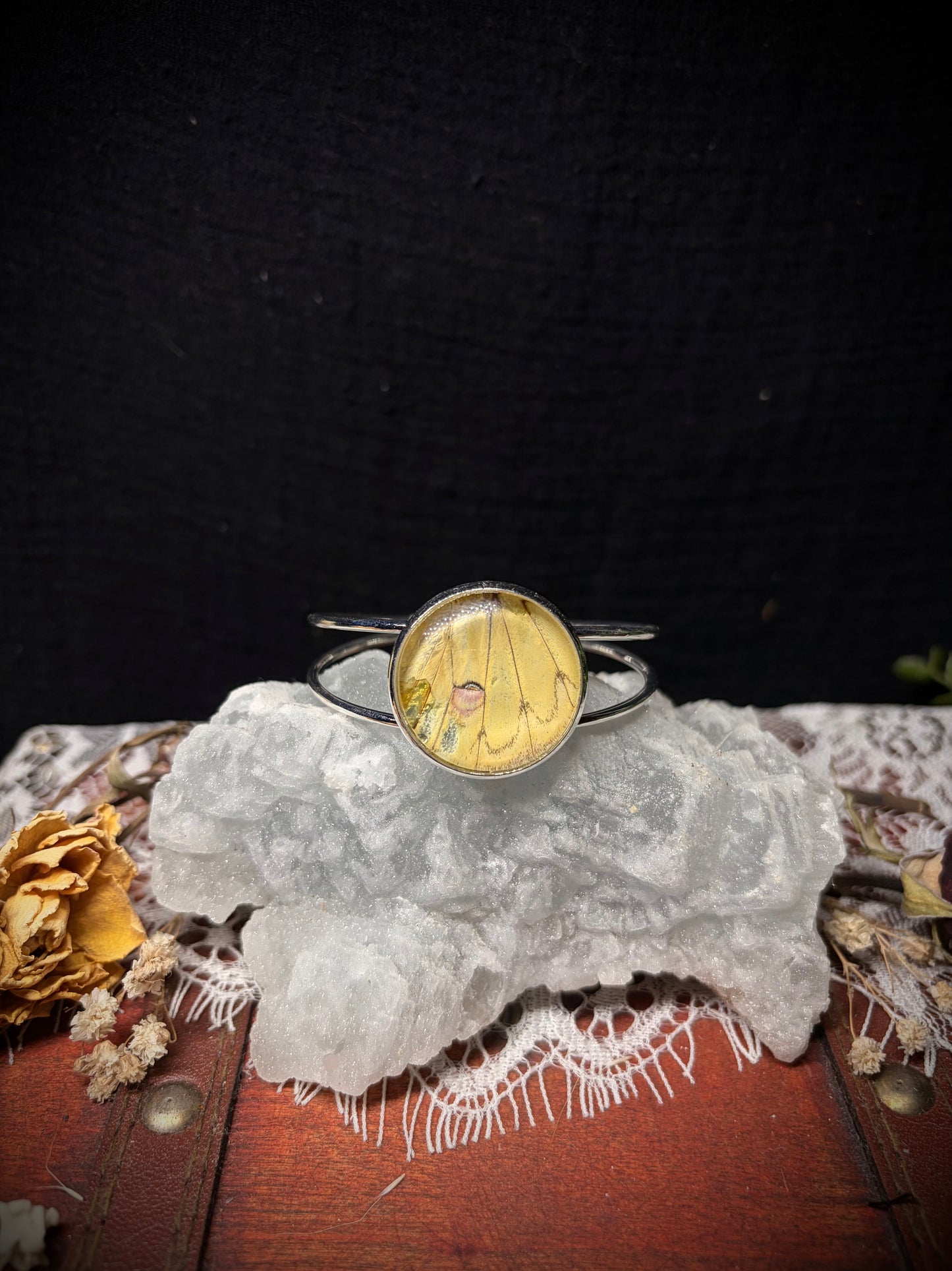 Real Moth Wing cuff ethereal