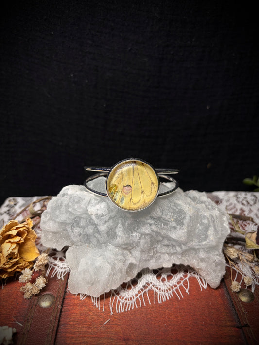 Real Moth Wing cuff ethereal