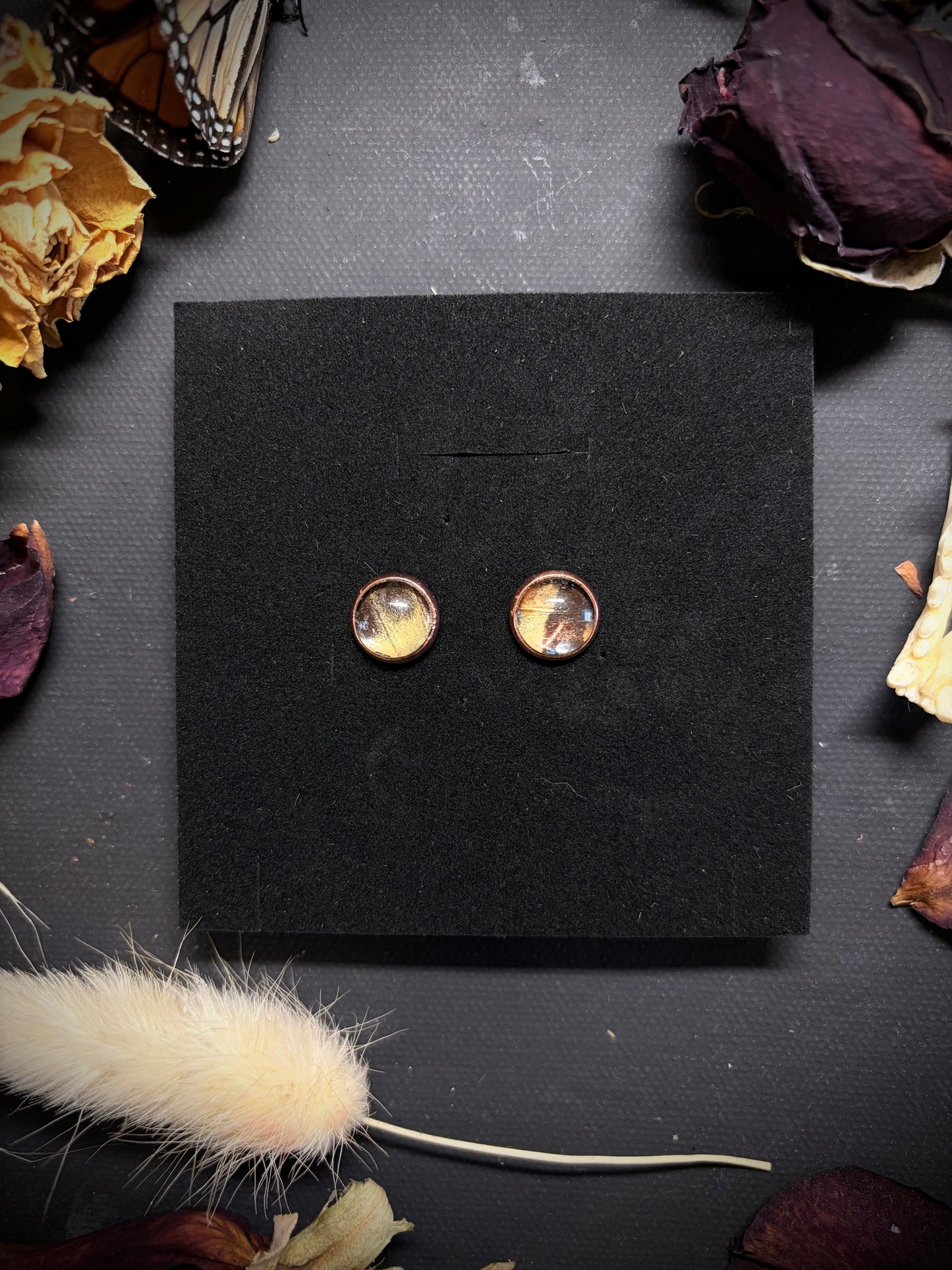 Real Butterfly Wing stud earrings ethereal