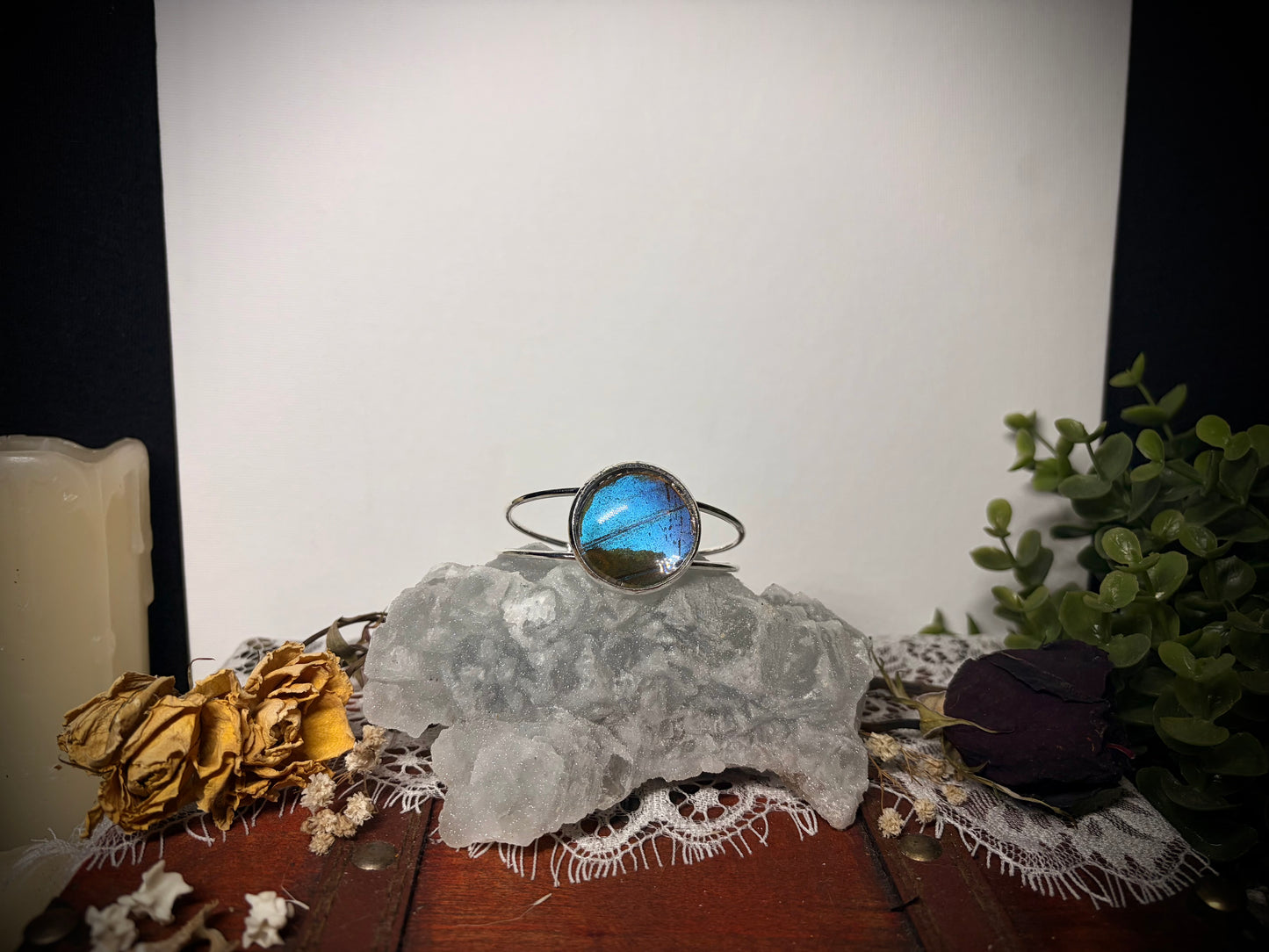 Real Butterfly Wing cuff ethereal