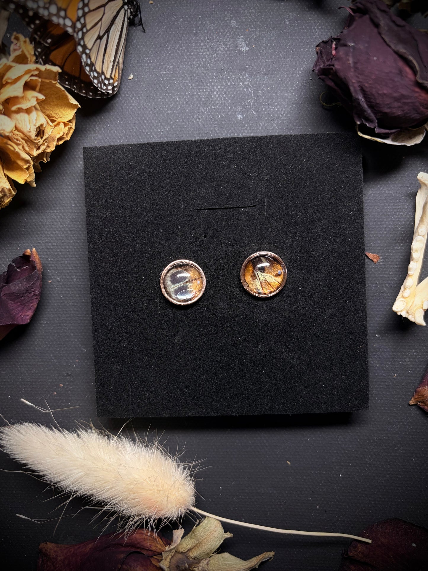 Real Butterfly Wing stud earrings ethereal