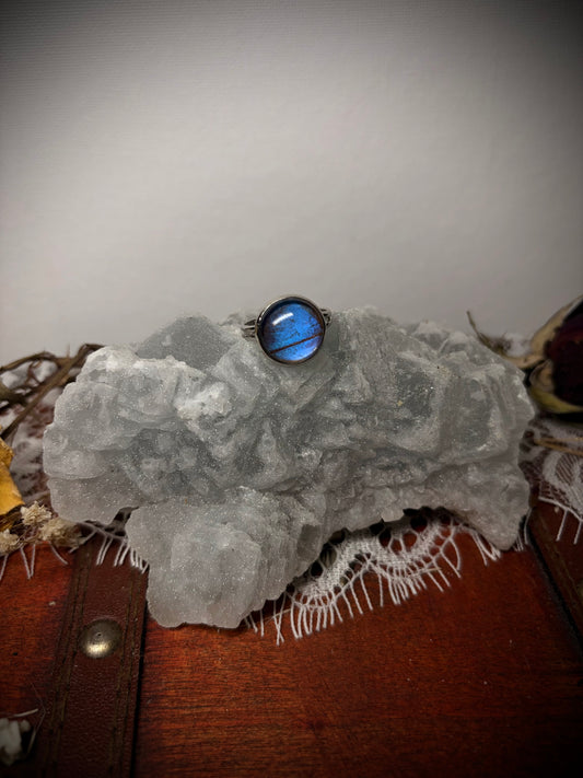 Real Butterfly Wing ring ethereal EMR