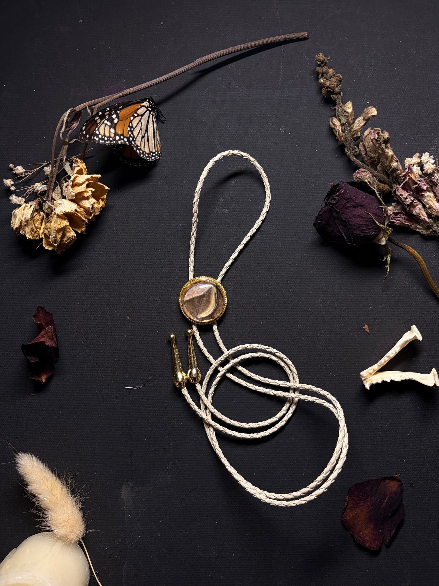 Real Moth Wing bolo tie necklace ethereal