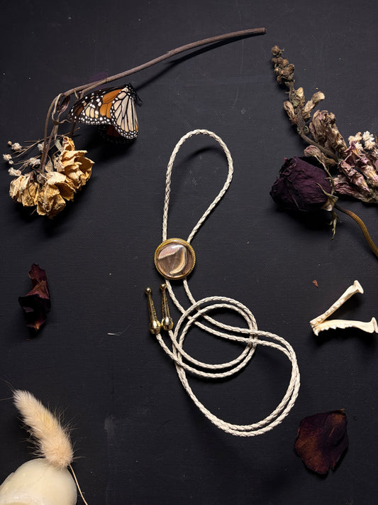 Real Moth Wing bolo tie necklace ethereal