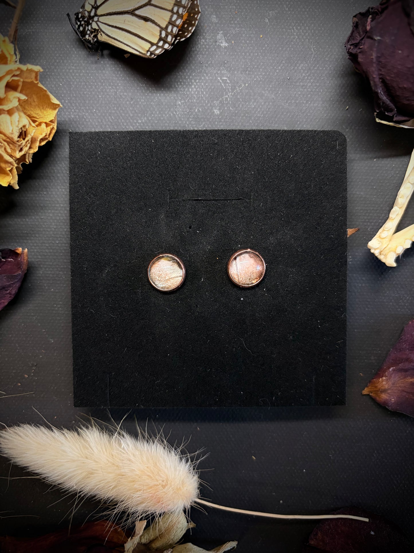 Real Moth Wing stud earrings ethereal