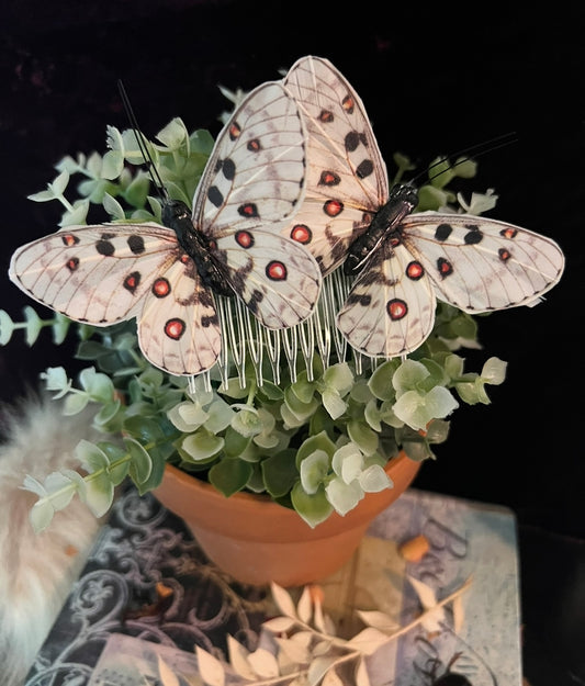 Apollo Butterfly Hair Pin