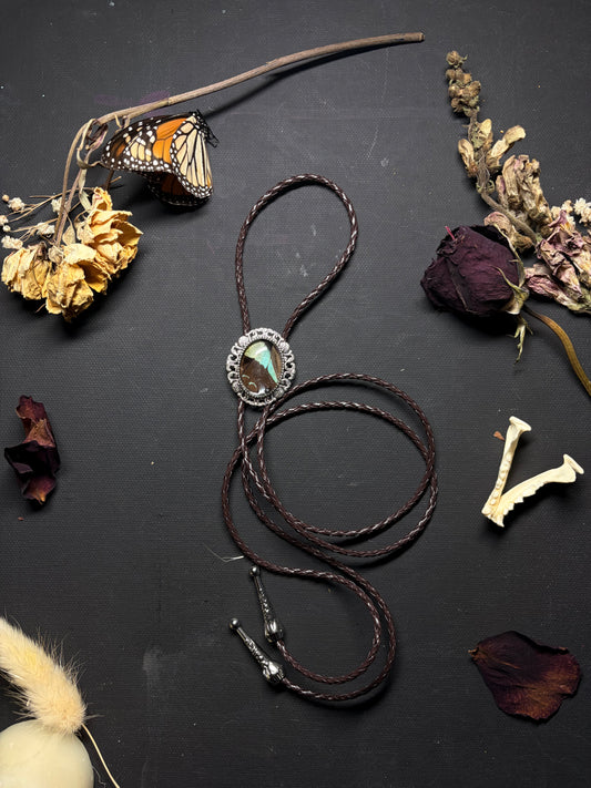 Real Butterfly Wing bolo tie necklace ethereal