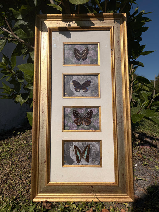 The Garden Fae Quartet Shadowbox