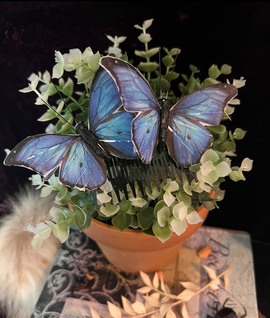 Blue Morpho Butterfly Hair Pin