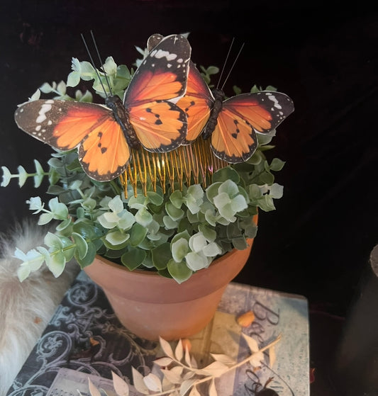 African Monarch Butterfly Hair Pin