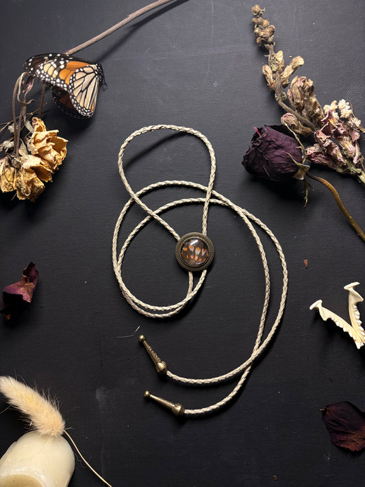 Real Butterfly Wing bolo tie necklace ethereal