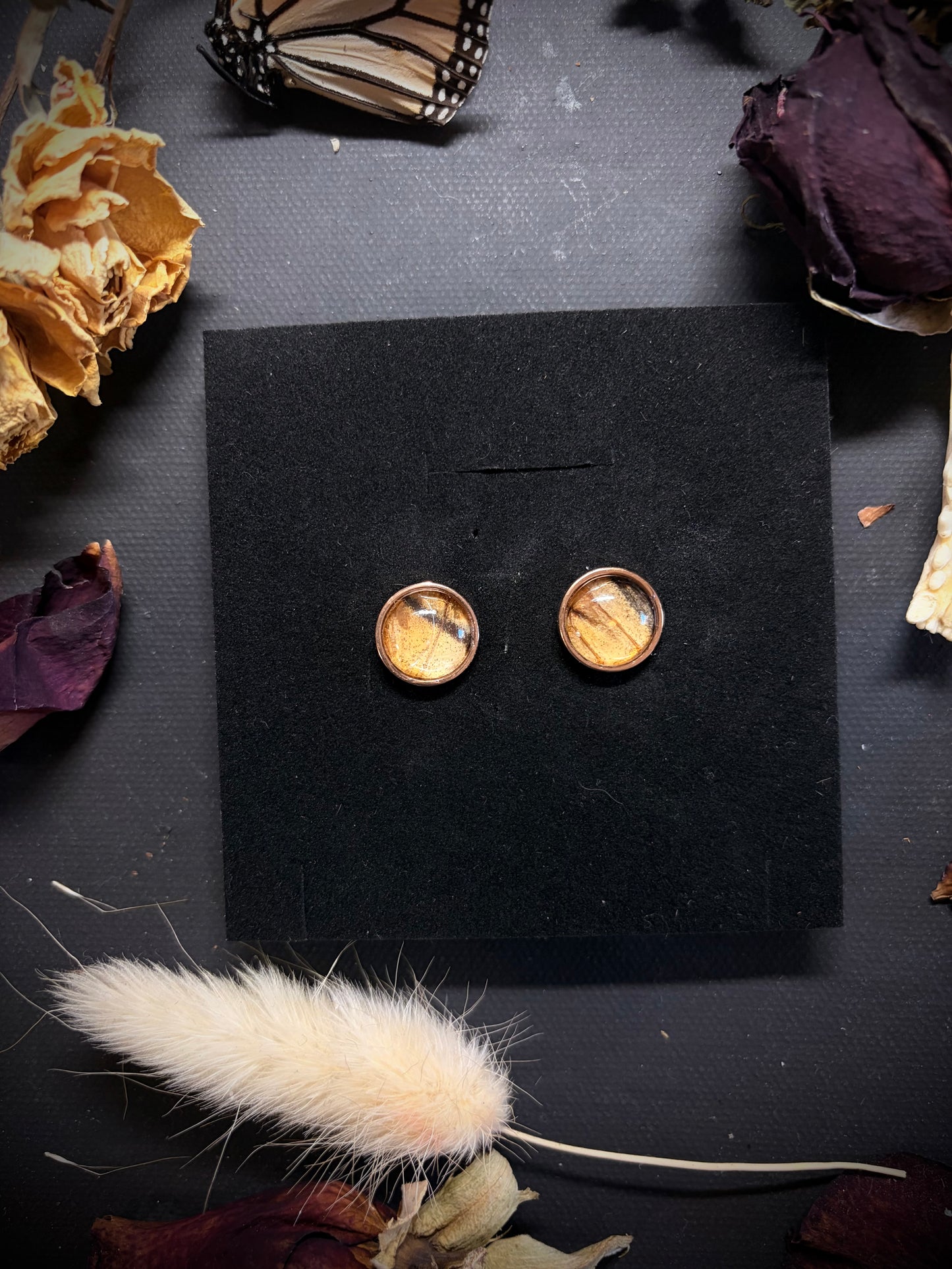 Real Moth Wing stud earrings ethereal