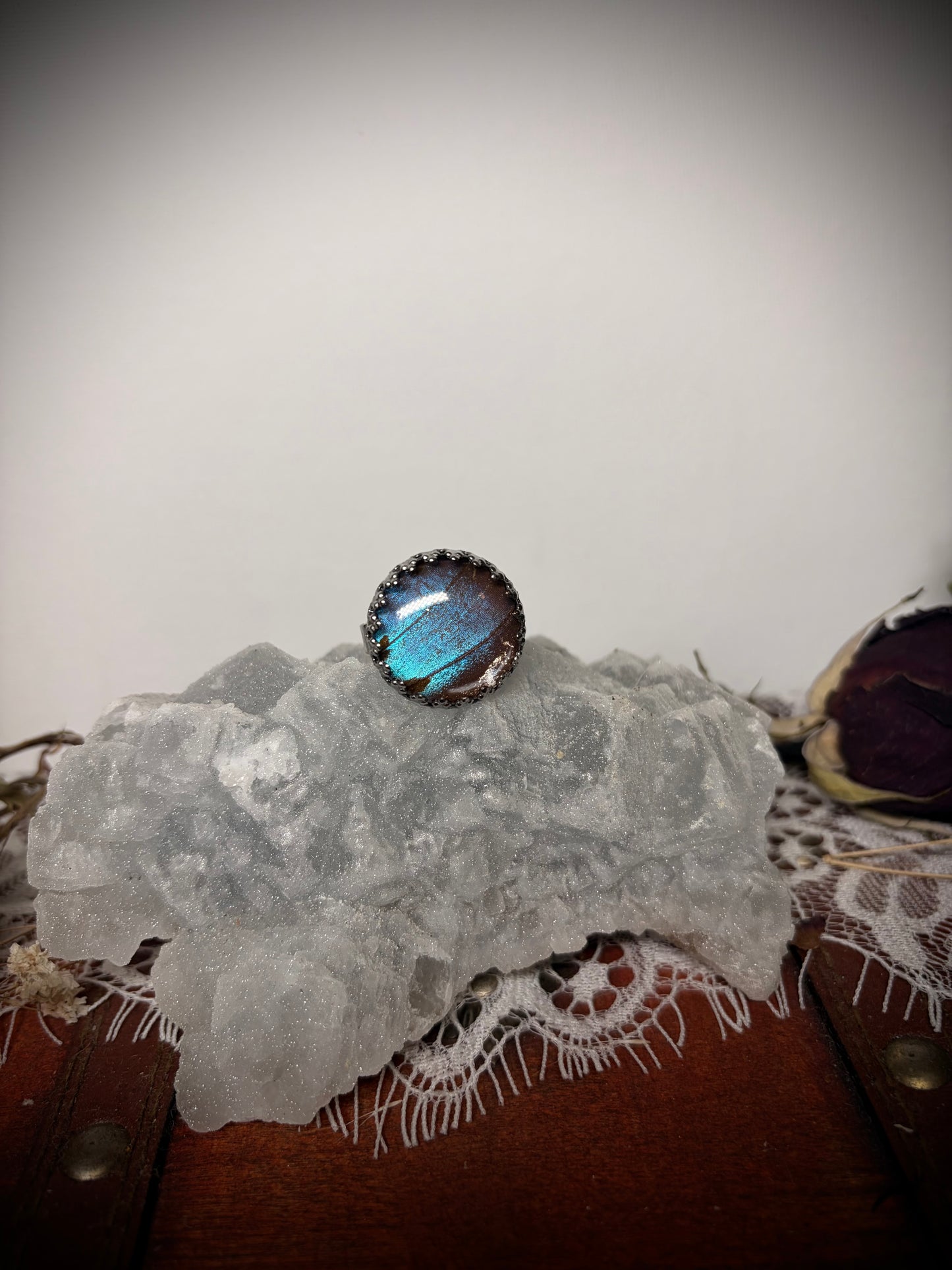 Real Butterfly Wing ring ethereal EMR