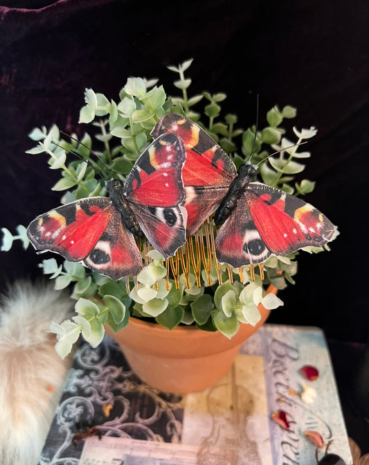 Peacock Butterfly Hair Pin