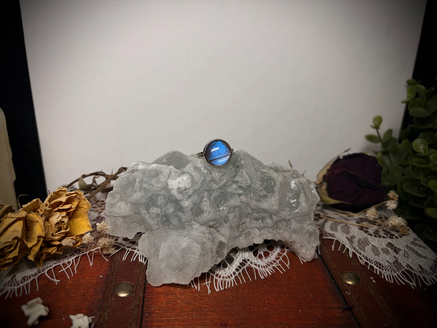 Real Butterfly Wing ring ethereal EMR