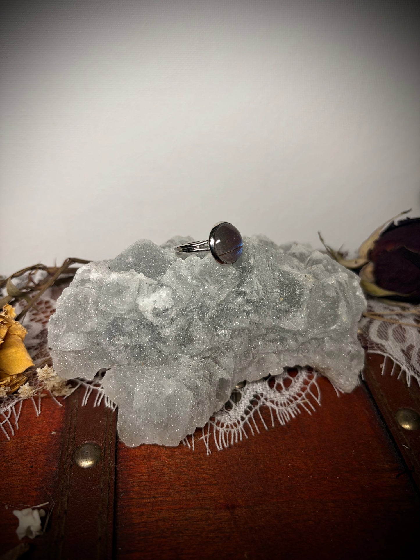 Real Butterfly Wing ring ethereal EMR