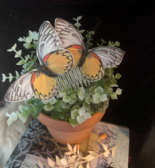Painted Jezabel Butterfly Hair Pin