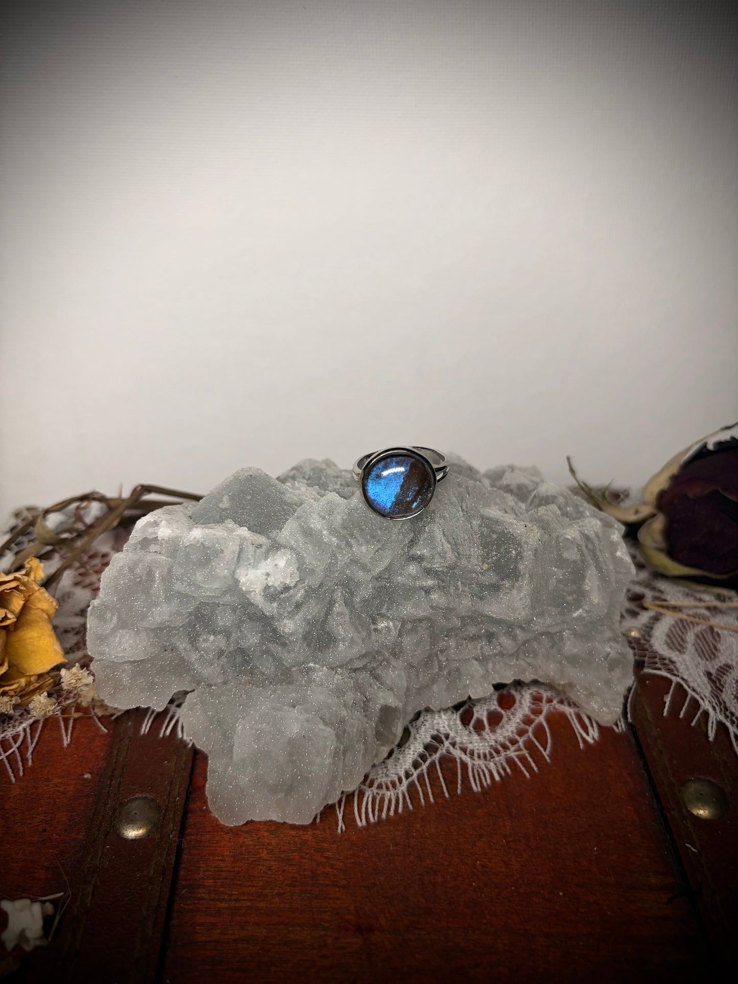 Real Butterfly Wing ring ethereal EMR