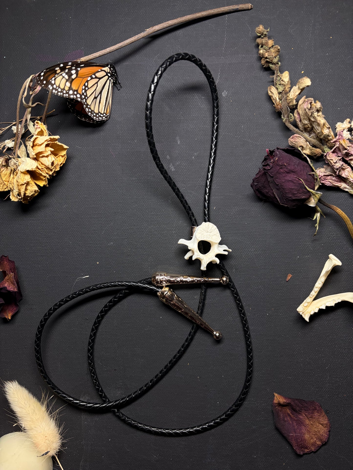 Real Coyote bolo tie necklace ethereal